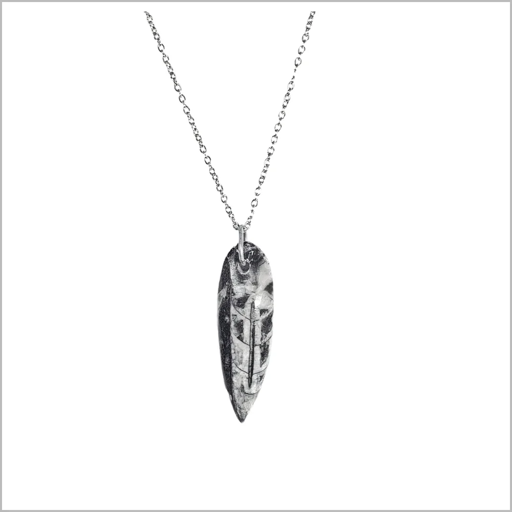Genuine Orthoceras Fossil Pendant with Stainless Steel Necklace. NWOT